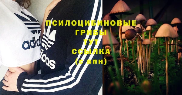 каннабис Армянск