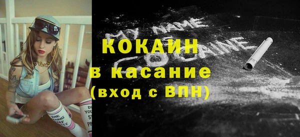 крисы Богородицк