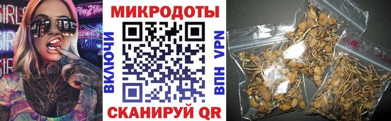 закладки  Дедовск  Псилоцибиновые грибы Psilocybine cubensis 