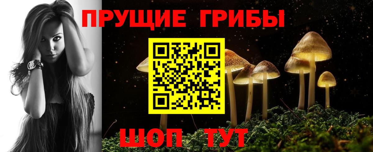 Галлюциногенные грибы GOLDEN TEACHER Дедовск
