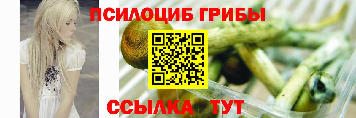 Галлюциногенные грибы MAGIC MUSHROOMS  Вход с VPN  Дедовск  дарнет шоп  Галлюциногенные грибы Psilocybine cubensis 